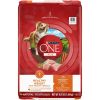 Purina ONE Plus Healthy Weight Dog Food Dry Formula