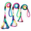 1 Set Nylon Rainbow Pet Dog Collar Harness Leash Soft Walking Harness Lead Colorful and Durable Traction Rope 120cm